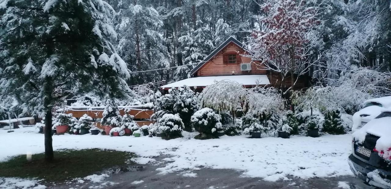 Domek W Ogrodzie Caloroczny 800M Od Parku Wodnego Suntago Ranczo Gold Mania Krzyzowka  Kültér fotó
